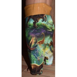Legíny